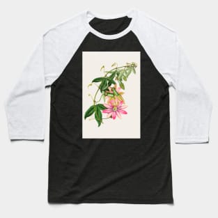 Passiflora pinnatistipula - Botanical Illustration Baseball T-Shirt